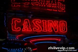 AG真人 zlslivevip